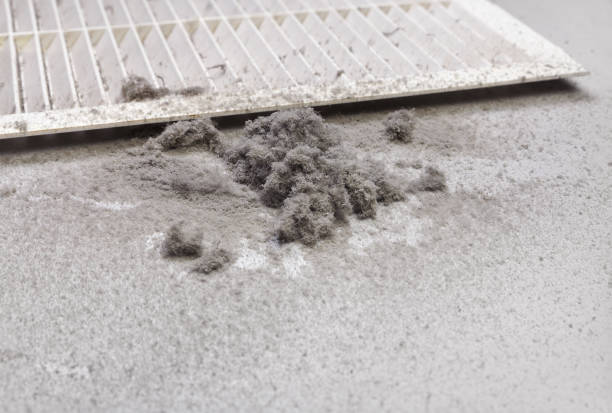 Best Affordable HVAC Duct Cleaning  in Lanett, AL