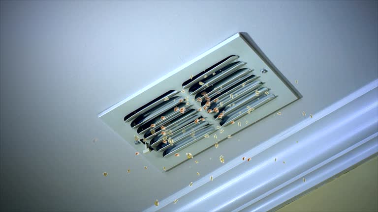 Best Dryer Vent Cleaning Services  in Lanett, AL