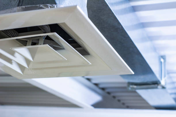 Best Air Duct Cleaning Company Near Me  in Lanett, AL