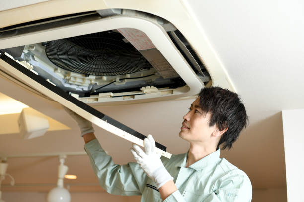 Best HVAC Duct Inspection Services  in Lanett, AL